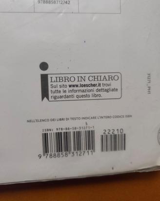 Libro Storia e Pietre Parlano Loesher Editore