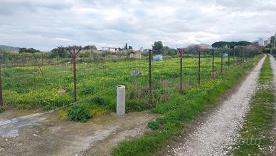 Tra bagheria e ficarazzi
