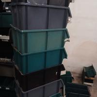 contenitori bocca di lupo 