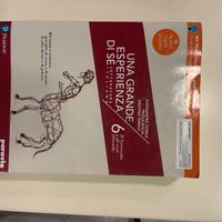 una grande esperienza di se 6