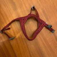 Pettorina cane piccola taglia