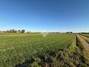 ter-agricolo-a-cesenatico