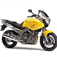 RICAMBI PER TDM 900 2002