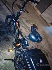 bicicletta elettrica 
