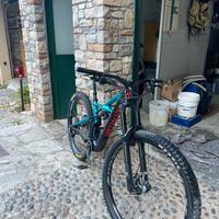 specialized enduro 