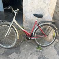 coppia di biciclette