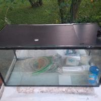 acquario  60 litri con accessori 
