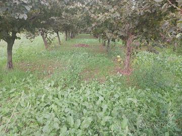 Terreno di 800 m² a Mercato San Severino