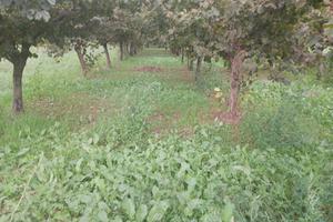 Terreno di 800 m² a Mercato San Severino