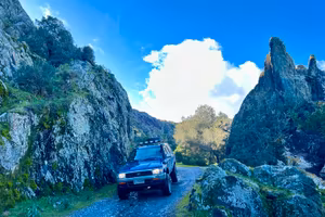 Toyota 4 runner 1992 turbo D
