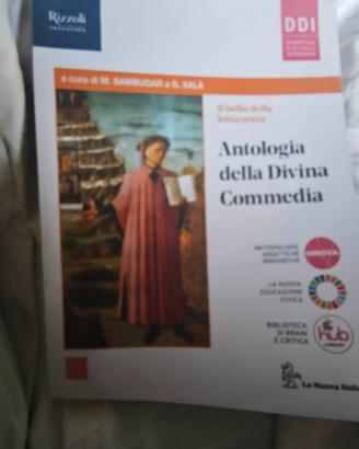 libro divina commedia