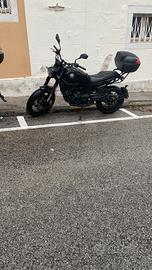 Benelli Leoncino 