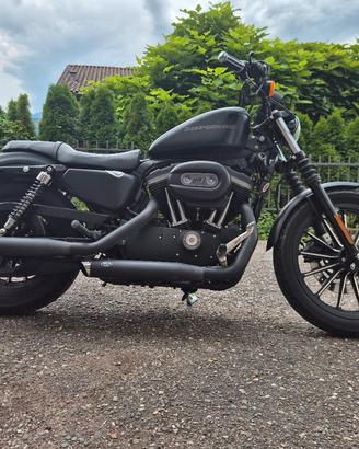 Harley-Davidson XL883N Sportster Iron