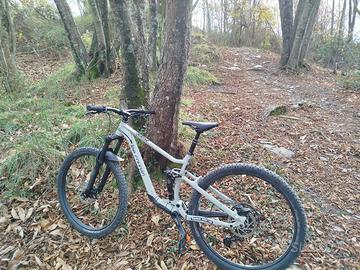 Lee Cougan Quest race