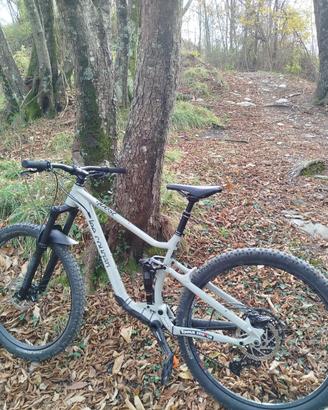 Lee Cougan Quest race