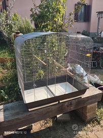 gabbia voliera per uccelli
