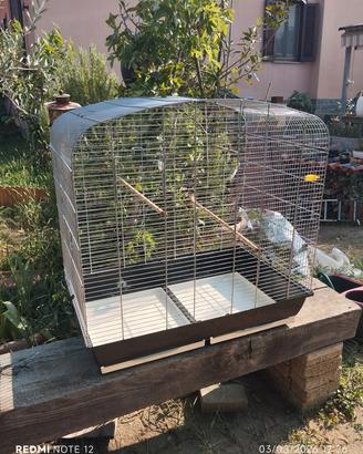 gabbia voliera per uccelli