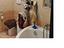 Immagine 14