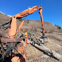 Caricatore forestale