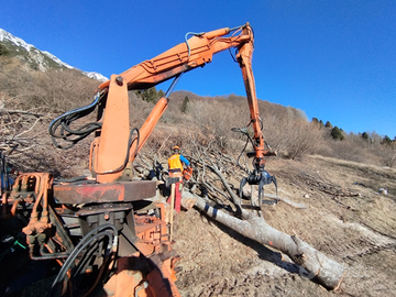 Caricatore forestale