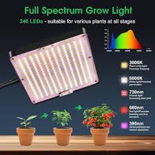 growled fullspectrum  con  sistema idroponico