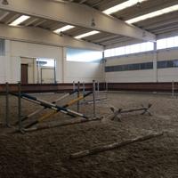 Maneggio scuderia piemonte vendita