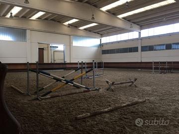 Maneggio scuderia piemonte vendita