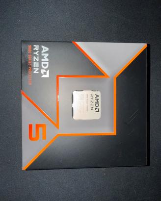 Amd ryzen 5 9600X socket AM5