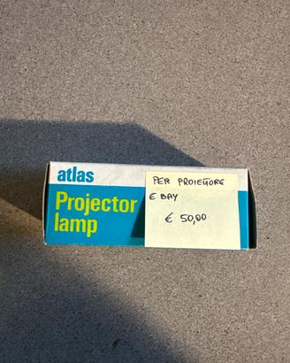 Lampadina Proiettorle A1/17 8V 50W attacco P30s