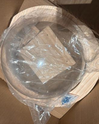 Gatto cuccia a capsula trasparente