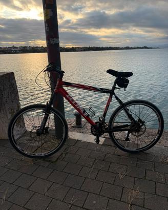 Bici eclipse