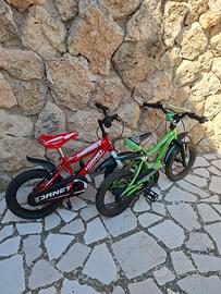 Coppia di bici Bambino:  Kawasaki 🟩 e  Hornet 🟥