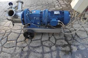 Pompa da travaso vino - Pompa da travaso enologica