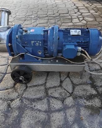 Pompa da travaso vino - Pompa da travaso enologica