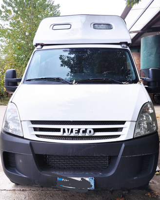 Van trasporto 2 cavalli Daily Ifor Williams