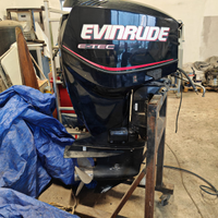 Evinrude 115 cv etec