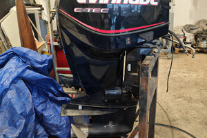 Evinrude 115 cv etec