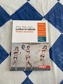 Ludus in tabula, gradus secundus