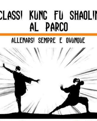 Corsi di kung fu per tutte le età e tutti i livell