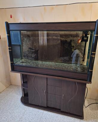 acquario 