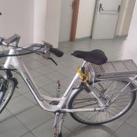 bicicletta elettrica italwin schwinn