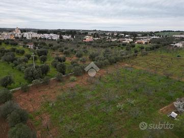 TER. AGRICOLO A POLIGNANO A MARE