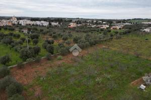 TER. AGRICOLO A POLIGNANO A MARE
