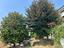 Immagine 22