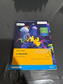 Fisica: Il Walker 3