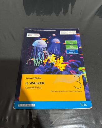 Fisica: Il Walker 3