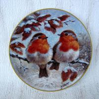 Uccelli Jurghen Scholz