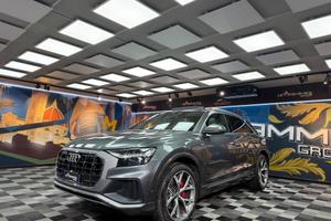Audi Q8 50 TDI 286 CV quattro tiptronic (307)