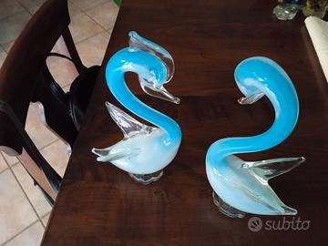 Cigni azzurri 