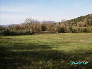 Terreno agricolo